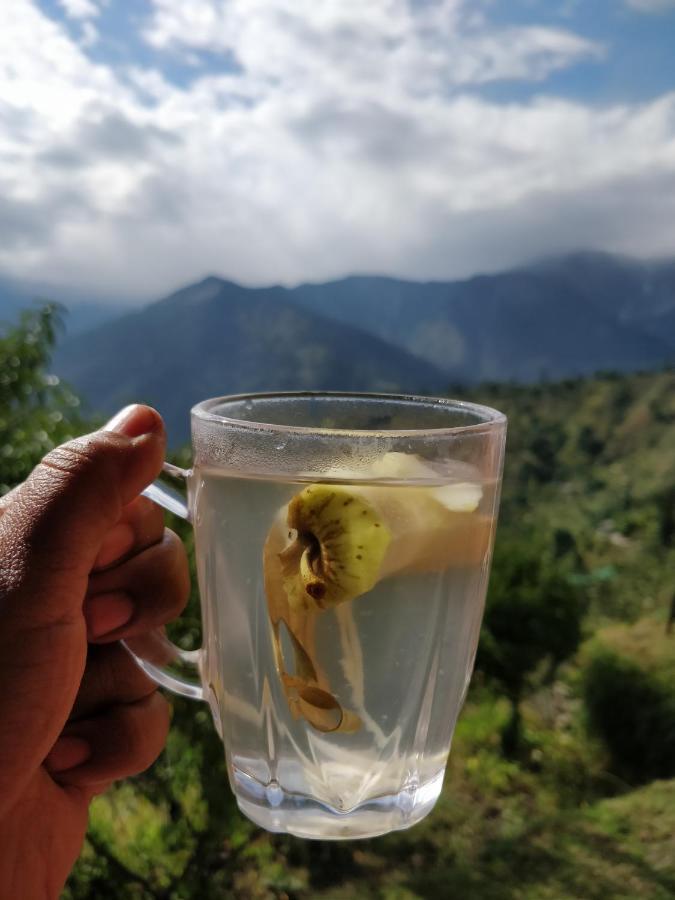 Possiville Manali (Himachal Pradesh)