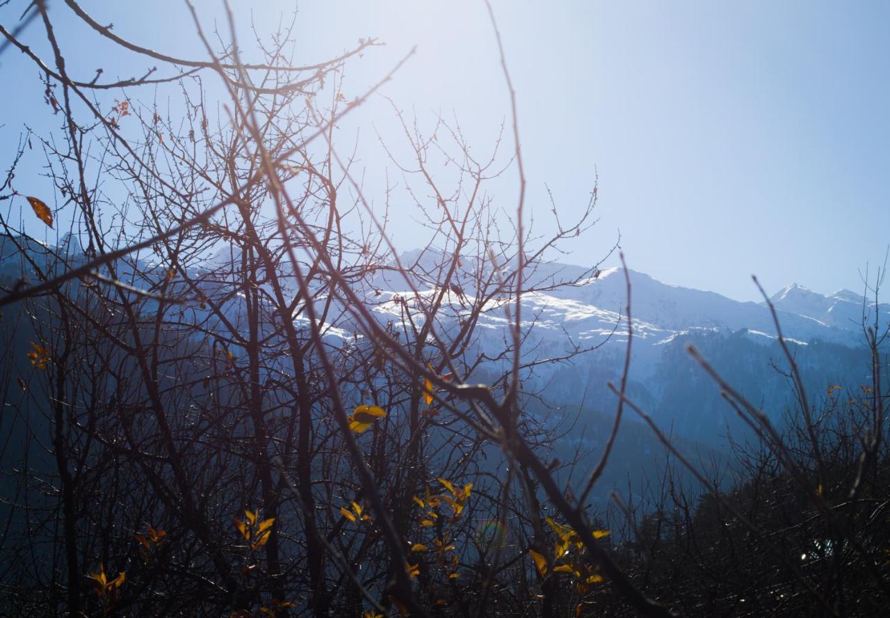 The Professors Hut Manali (Himachal Pradesh)