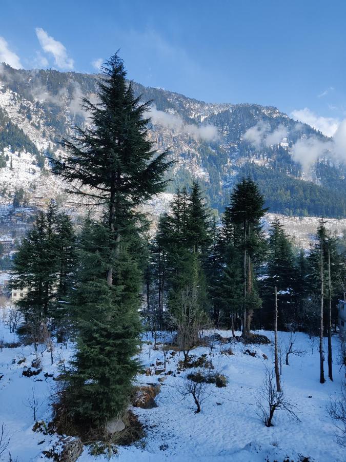 Safar * Manali (Himachal Pradesh)