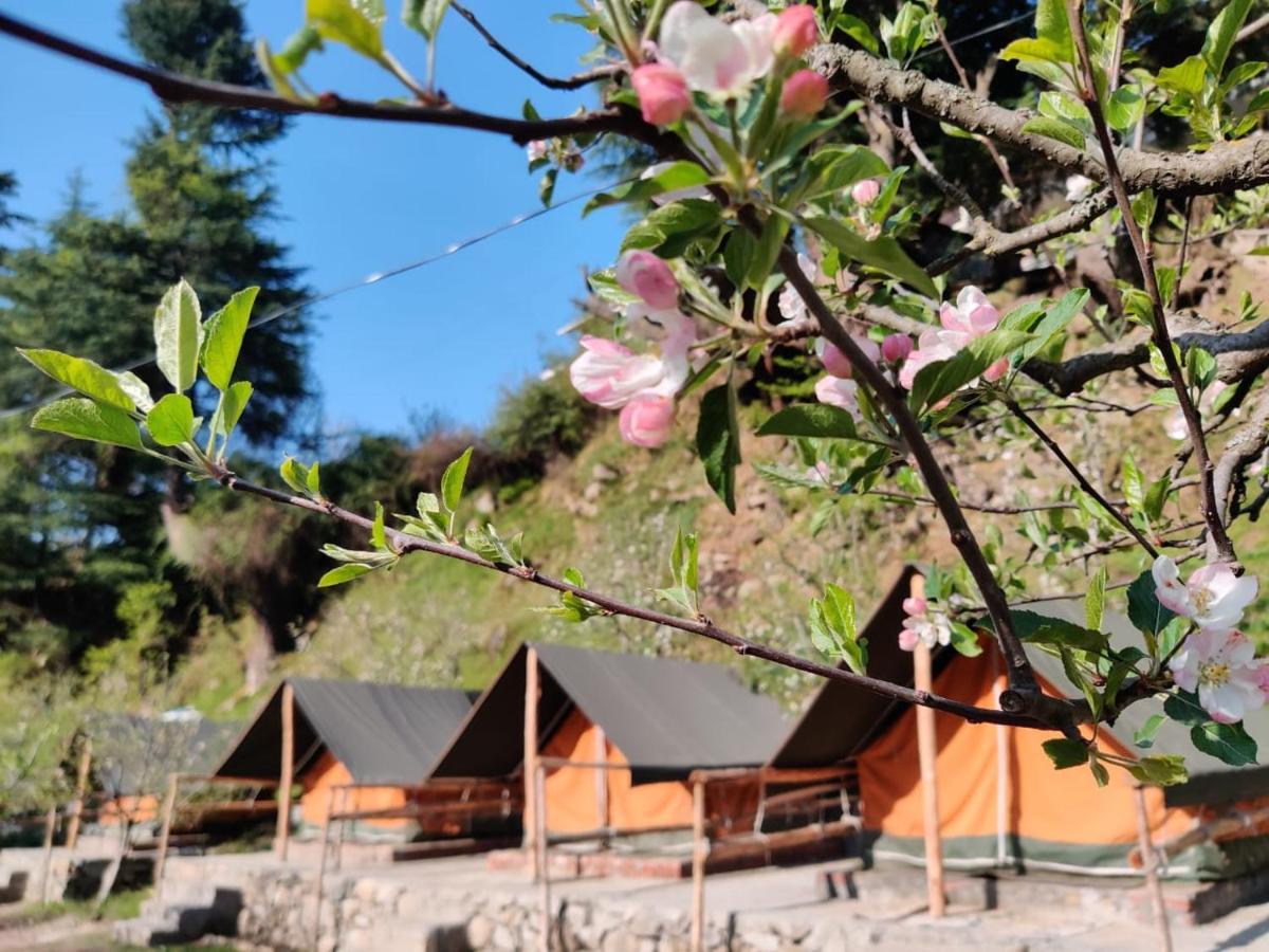 Himtrek Riverside Camps & * Manali (Himachal Pradesh)