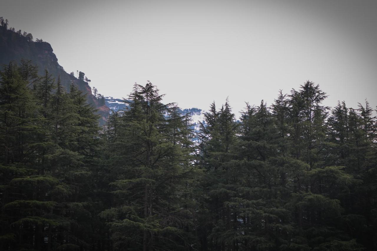 Tanwar Villa Hotel Manali (Himachal Pradesh)