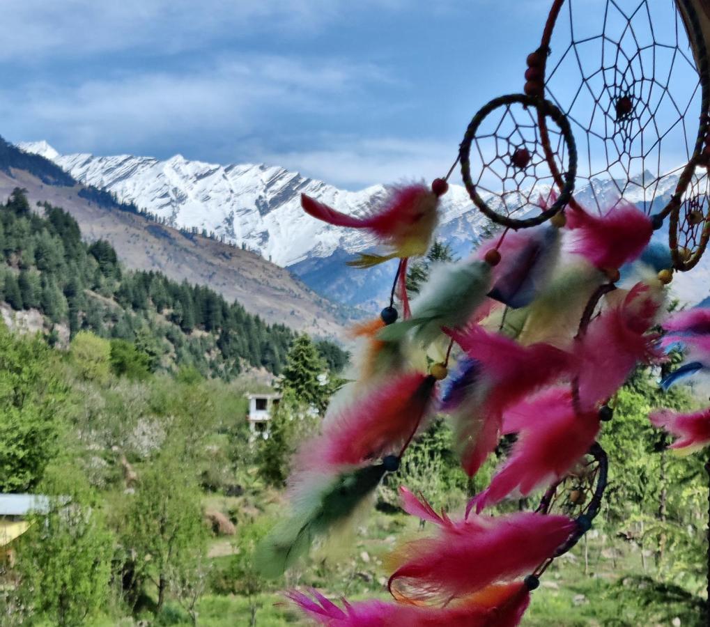 Safar Hostel