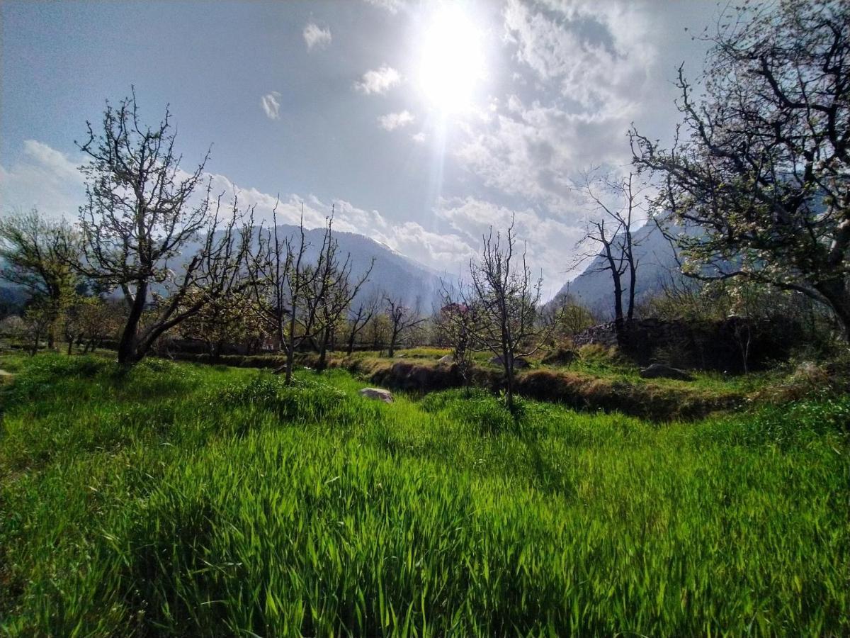 Hostel Farm And Camps Manali (Himachal Pradesh)