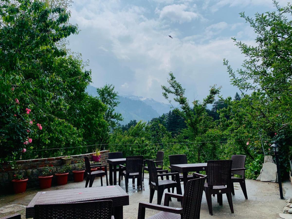 Jungle By Sturmfrei Manali (Himachal Pradesh)