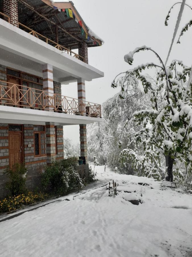 Doghari Homes