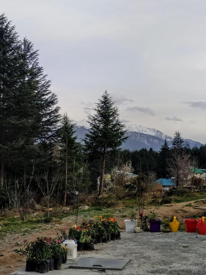 Farm And Camps Hostel Manali (Himachal Pradesh)