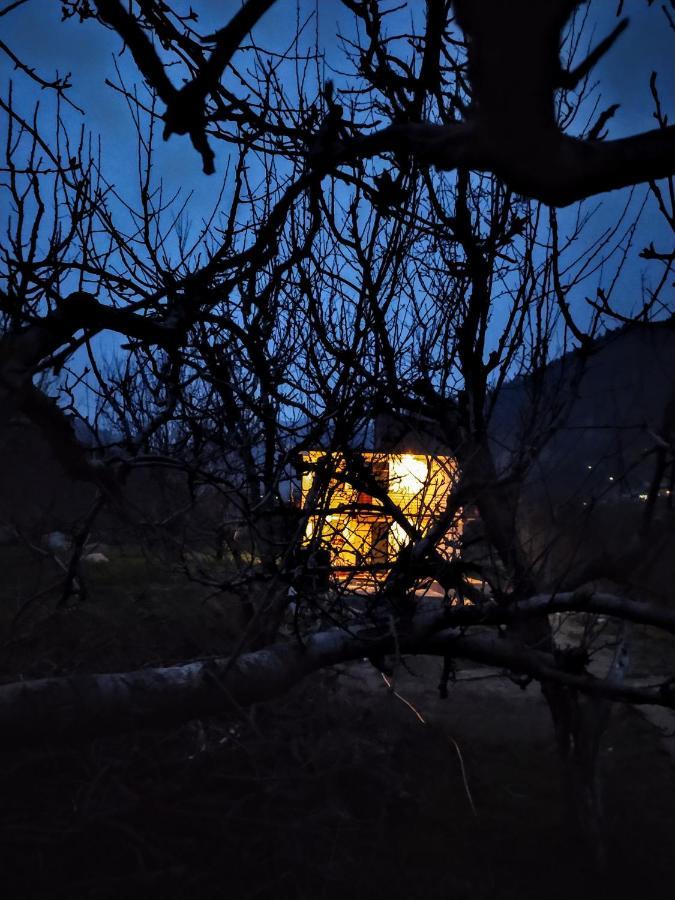 Farm And Camps Hostel *