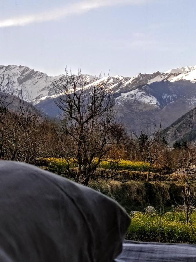 Hostel Farm And Camps Manali (Himachal Pradesh)