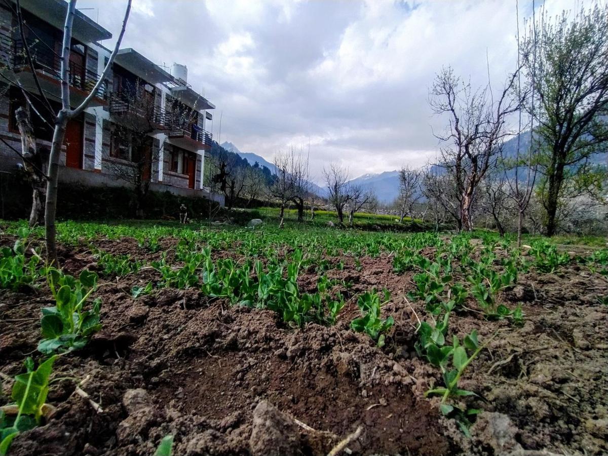 Farm And Camps Hostel Manali (Himachal Pradesh)