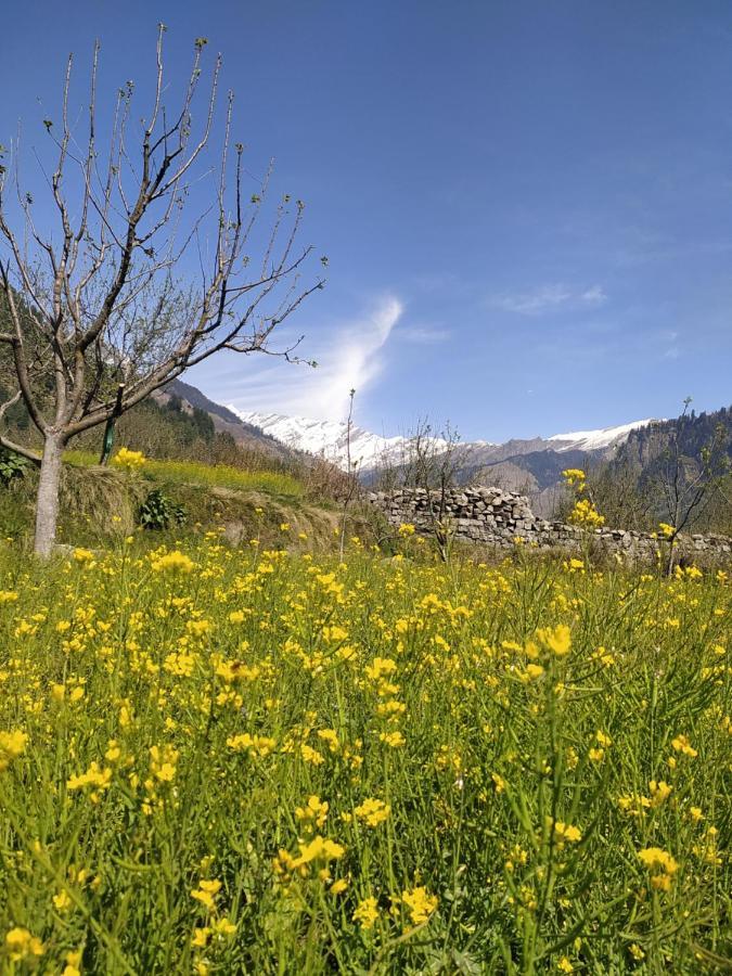 Farm And Camps Hostel