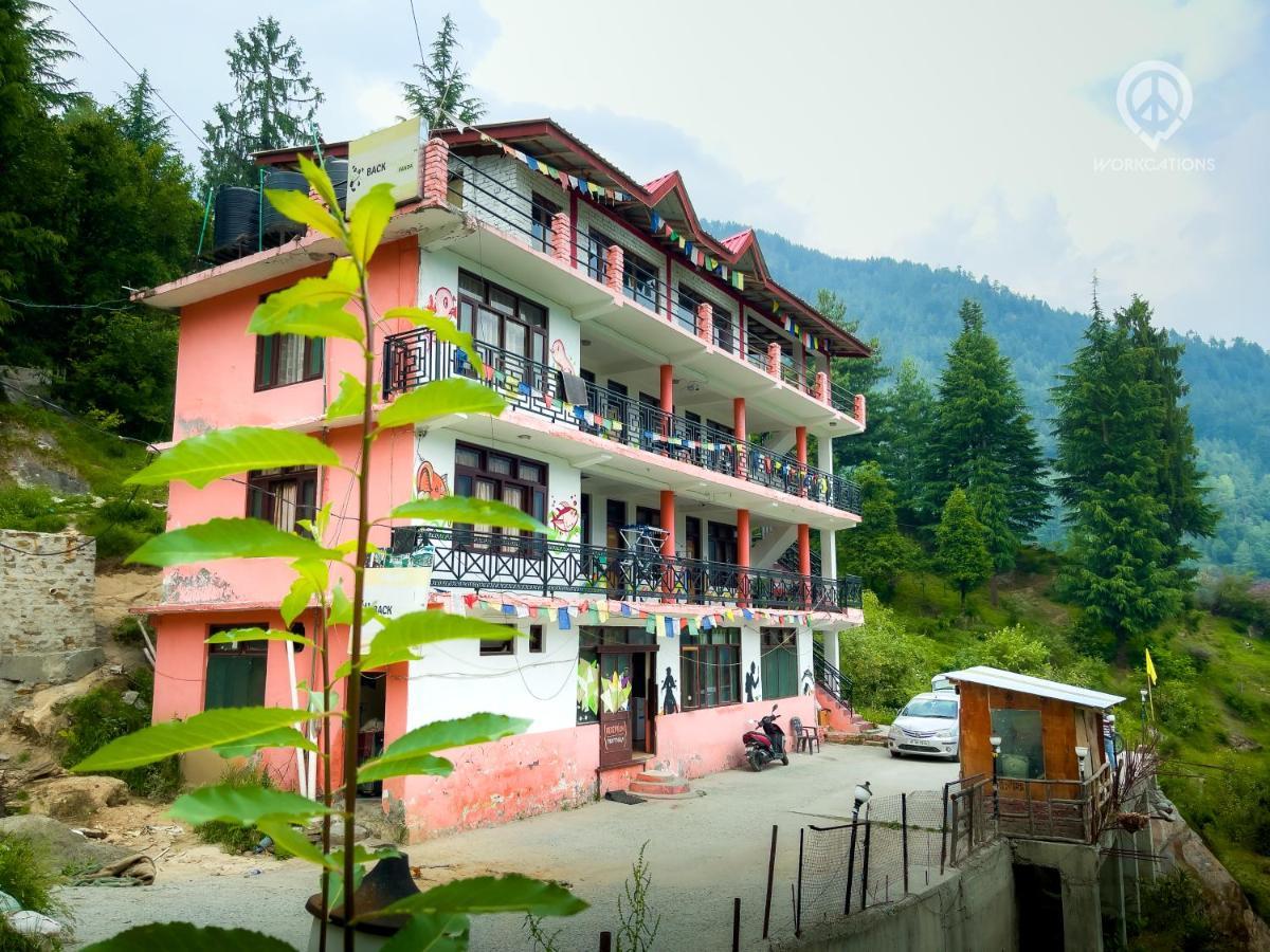 Hostel Backpackers Panda