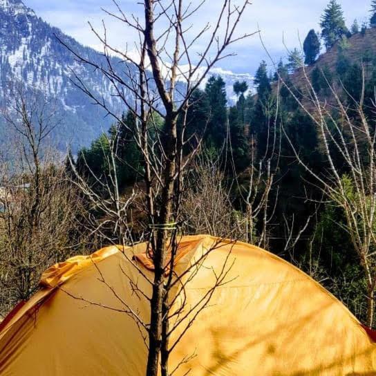 Vatika For Backpackers Hostel