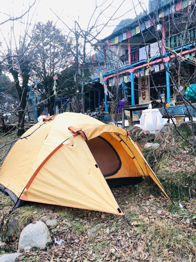 Vatika For Backpackers Hostel *