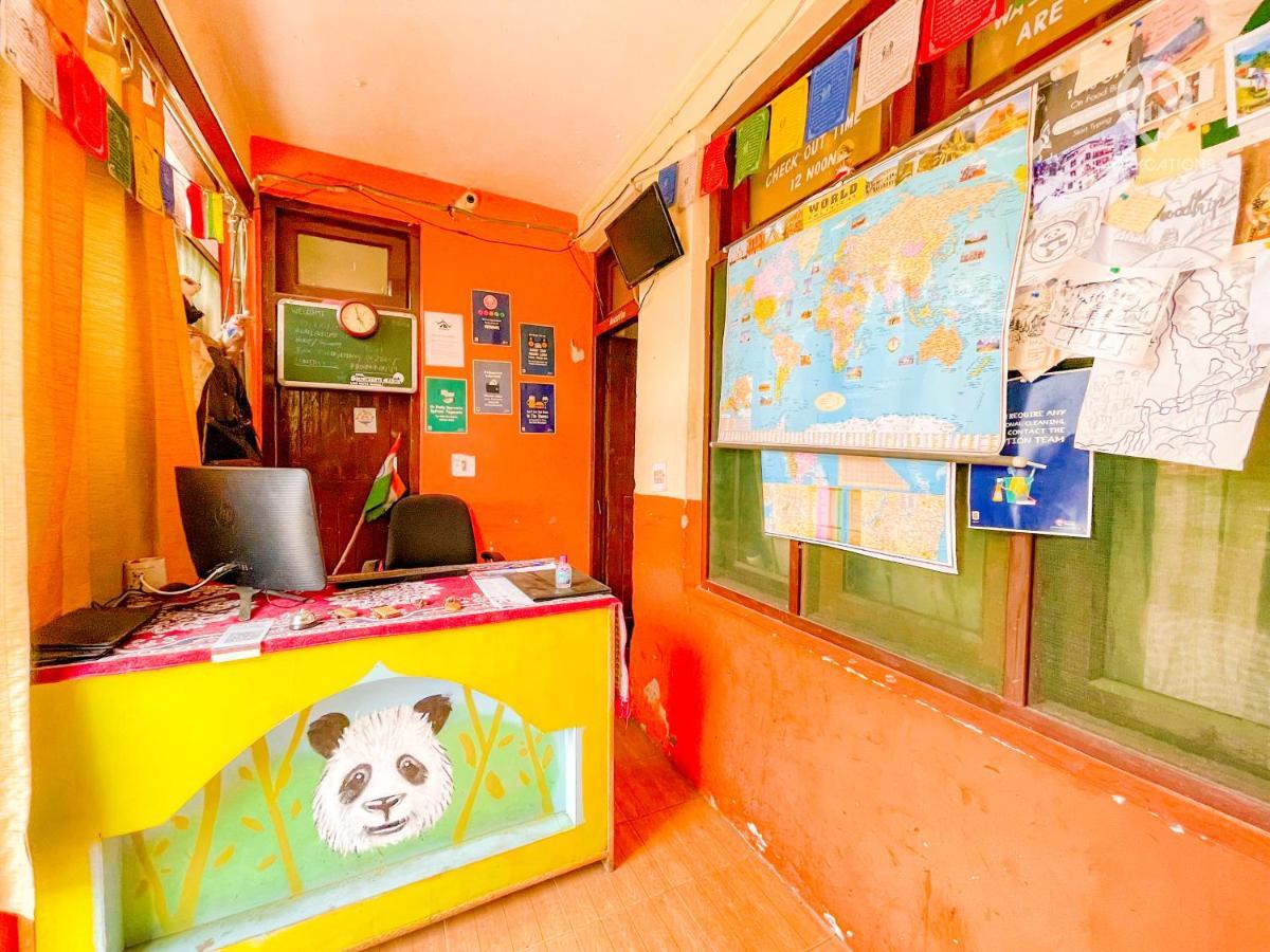 Backpackers Panda
