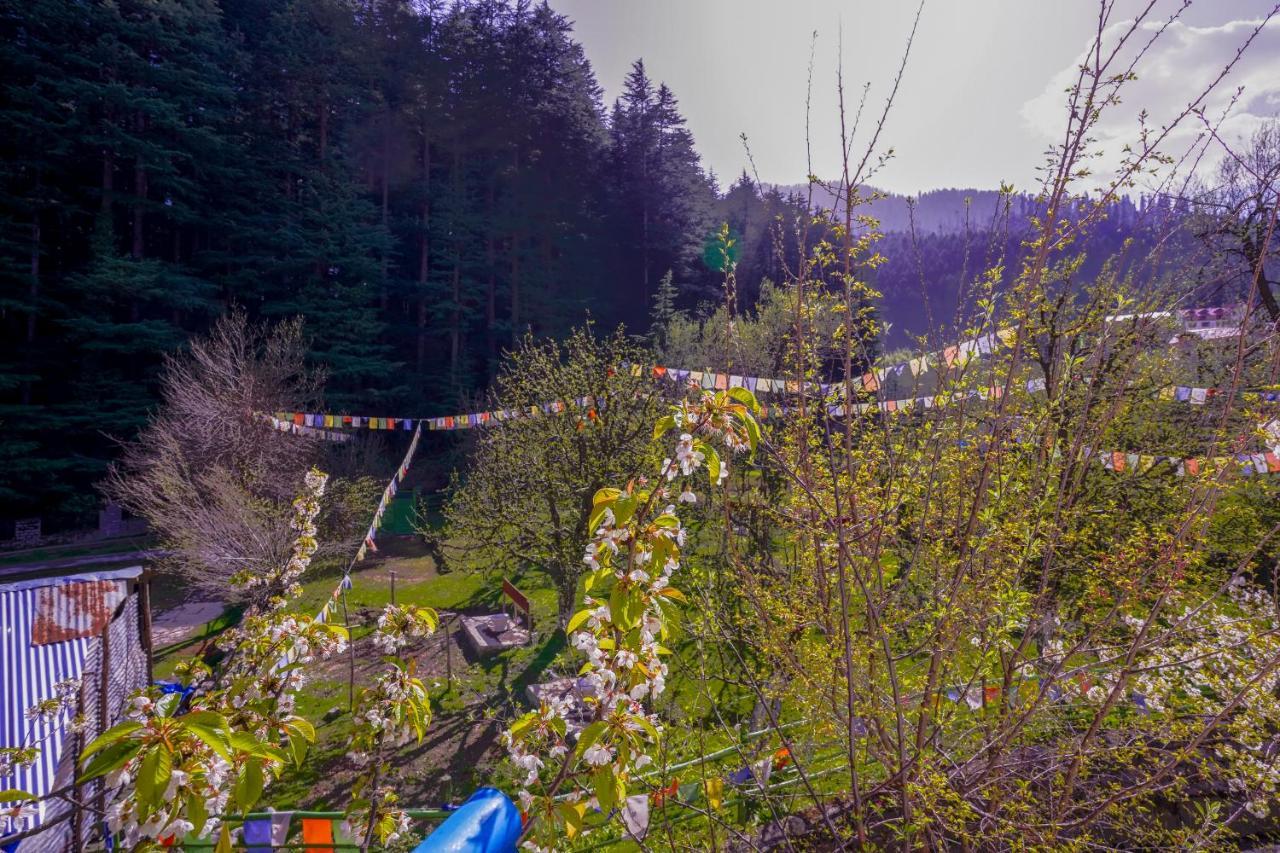 Rama's Forest