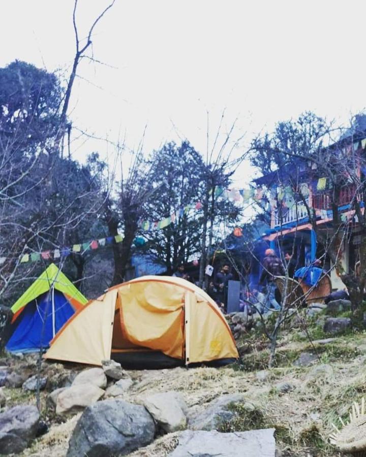 Vatika For Backpackers Manali (Himachal Pradesh)