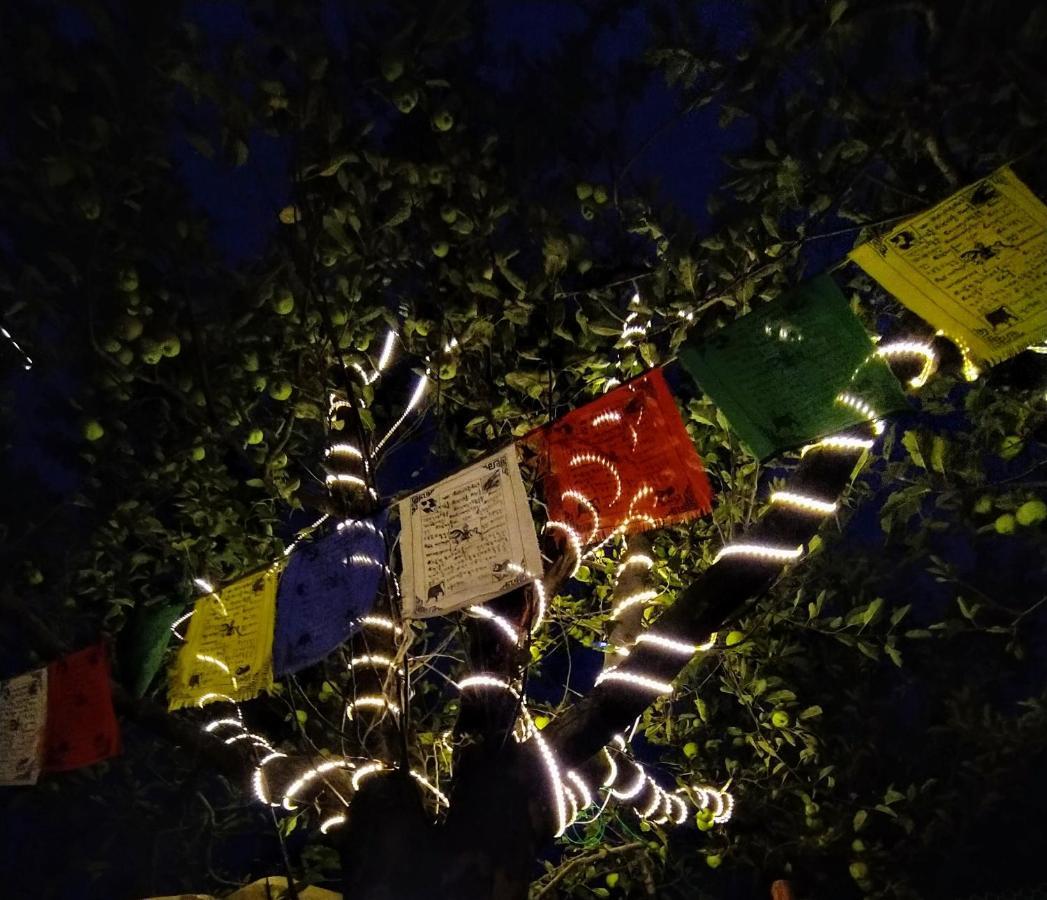 Hostel Farm And Camps Manali (Himachal Pradesh)