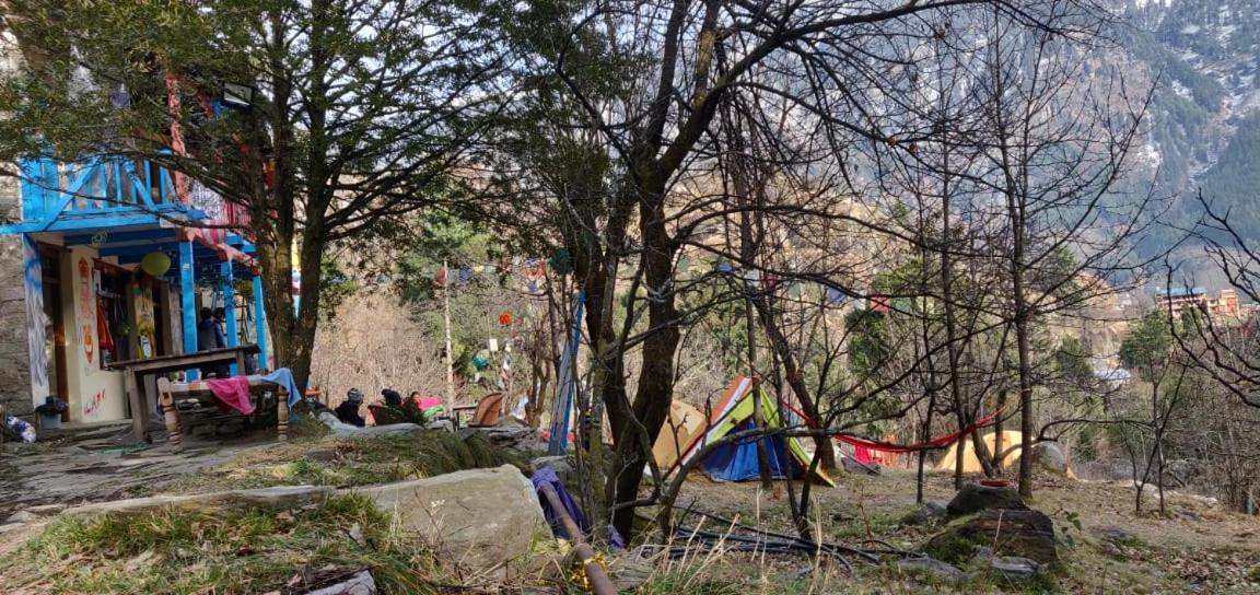 Vatika For Backpackers *