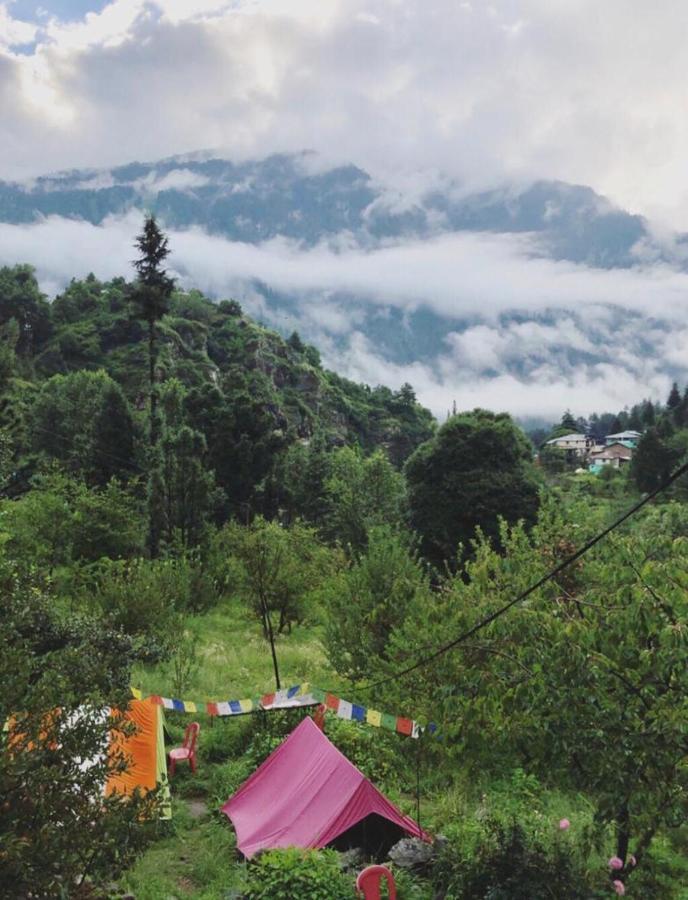 Hostel Vatika For Backpackers Manali (Himachal Pradesh)
