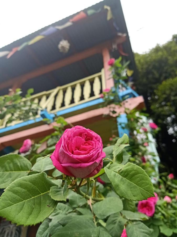 Vatika For Backpackers Manali (Himachal Pradesh)