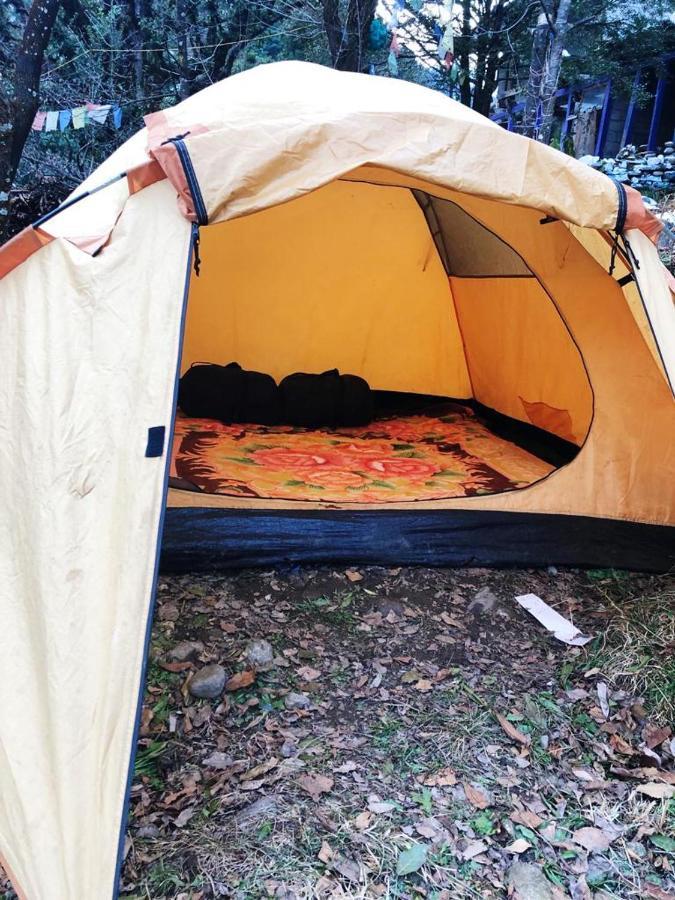 Hostel Vatika For Backpackers