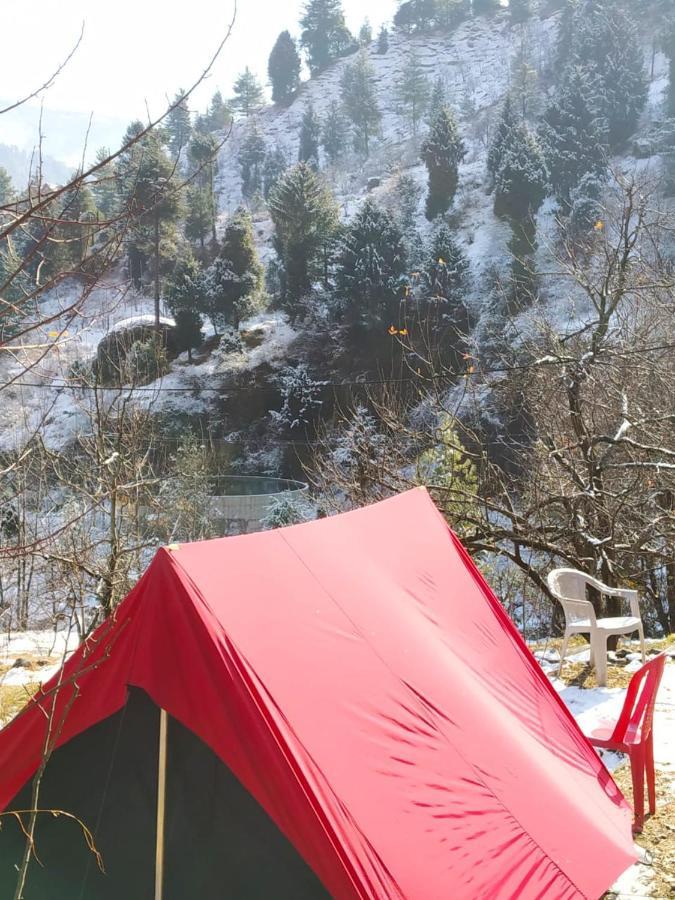 Vatika For Backpackers Hostel