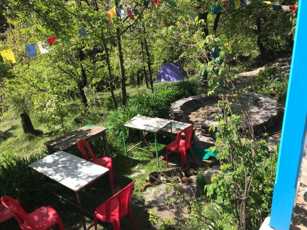 Hostel Vatika For Backpackers Manali (Himachal Pradesh)
