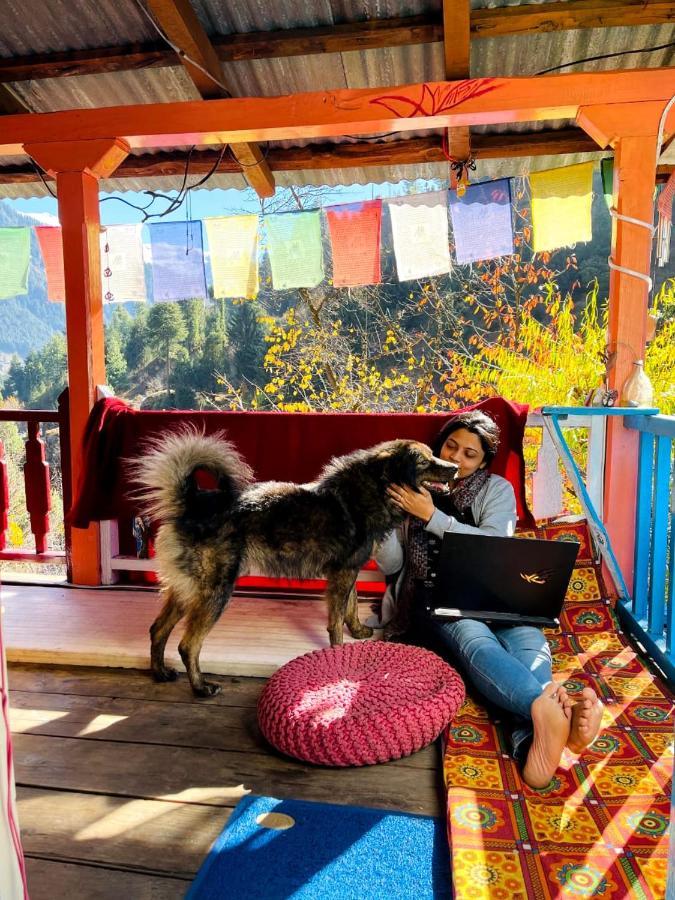Vatika For Backpackers Manali (Himachal Pradesh)