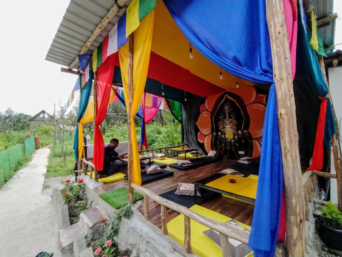 Hostel Farm And Camps *