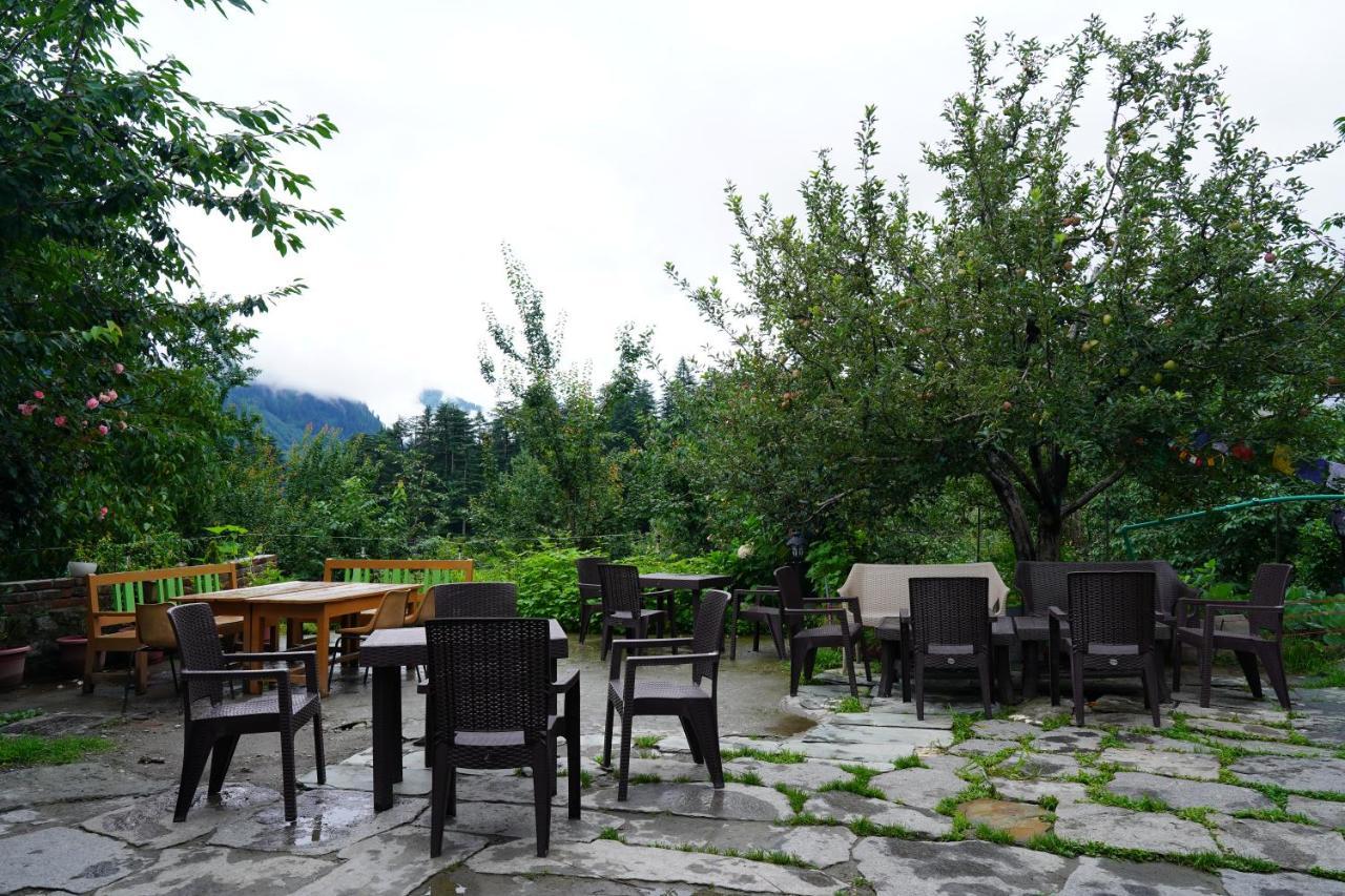 Jungle By Sturmfrei Hostel *