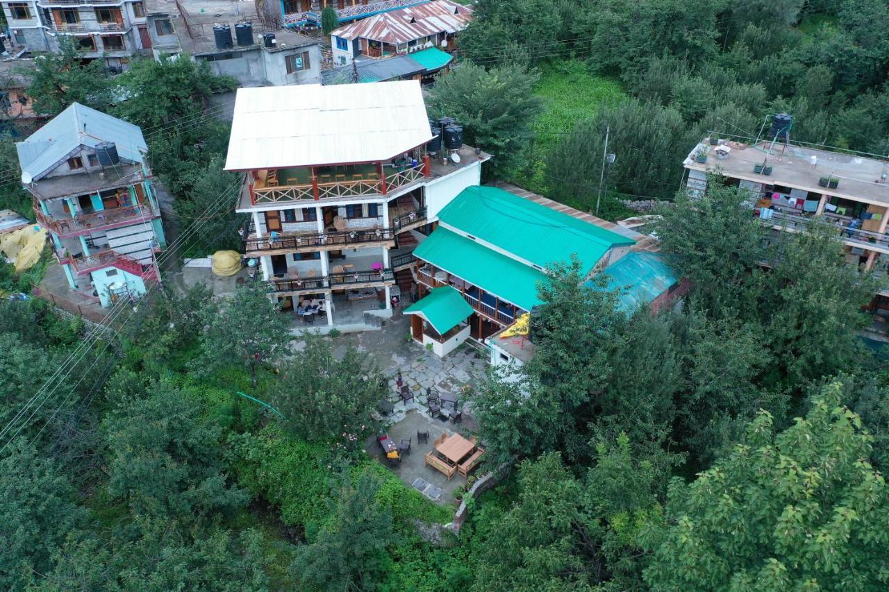 Hostel Jungle By Sturmfrei Manali (Himachal Pradesh)