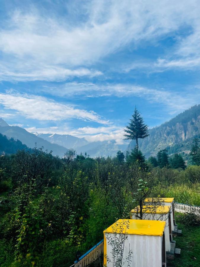 Ats -manali * Manali (Himachal Pradesh)