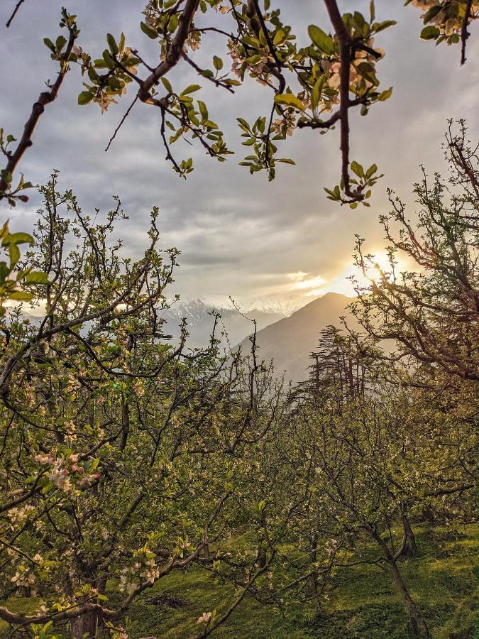 Hostel Possiville Manali (Himachal Pradesh)
