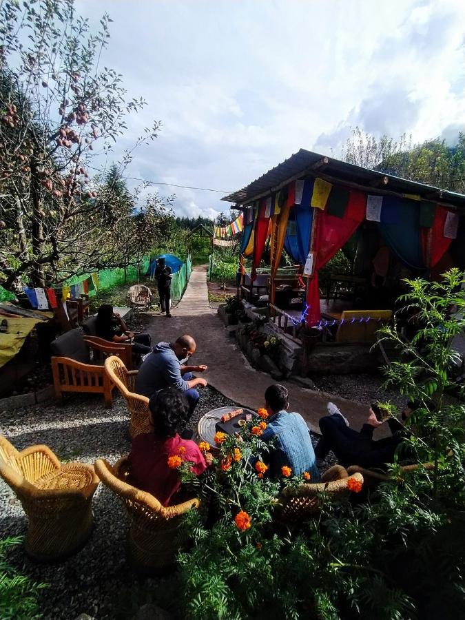 Hostel Farm And Camps Manali (Himachal Pradesh)