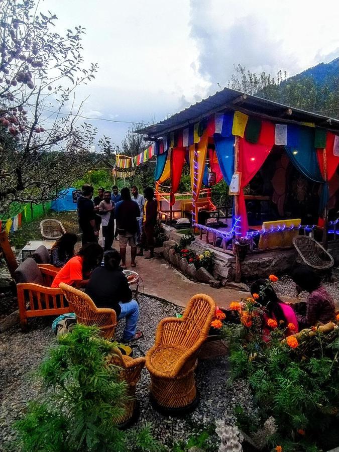 Farm And Camps