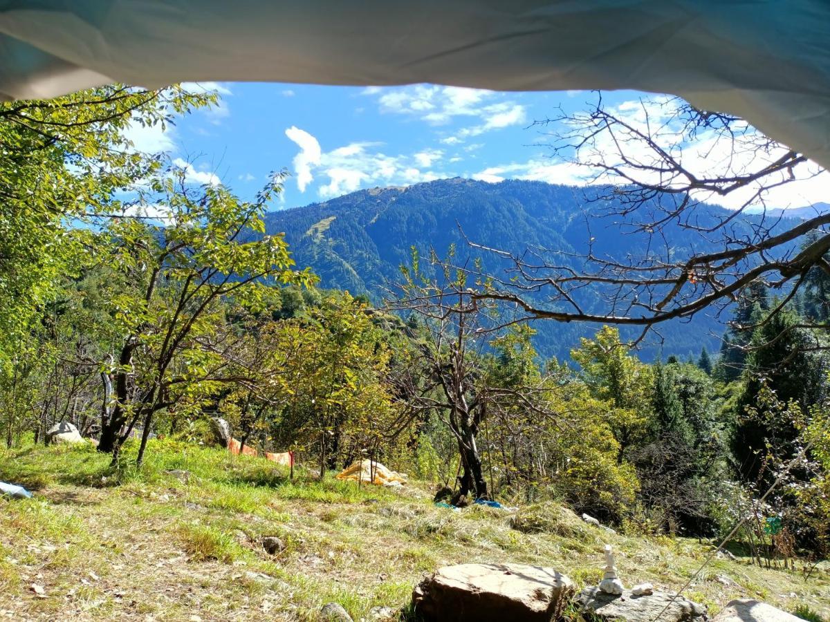 Hostel Vatika For Backpackers Manali (Himachal Pradesh)
