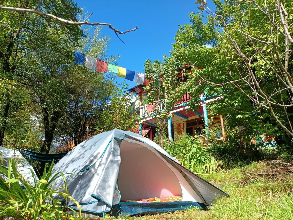 Vatika For Backpackers Manali (Himachal Pradesh)