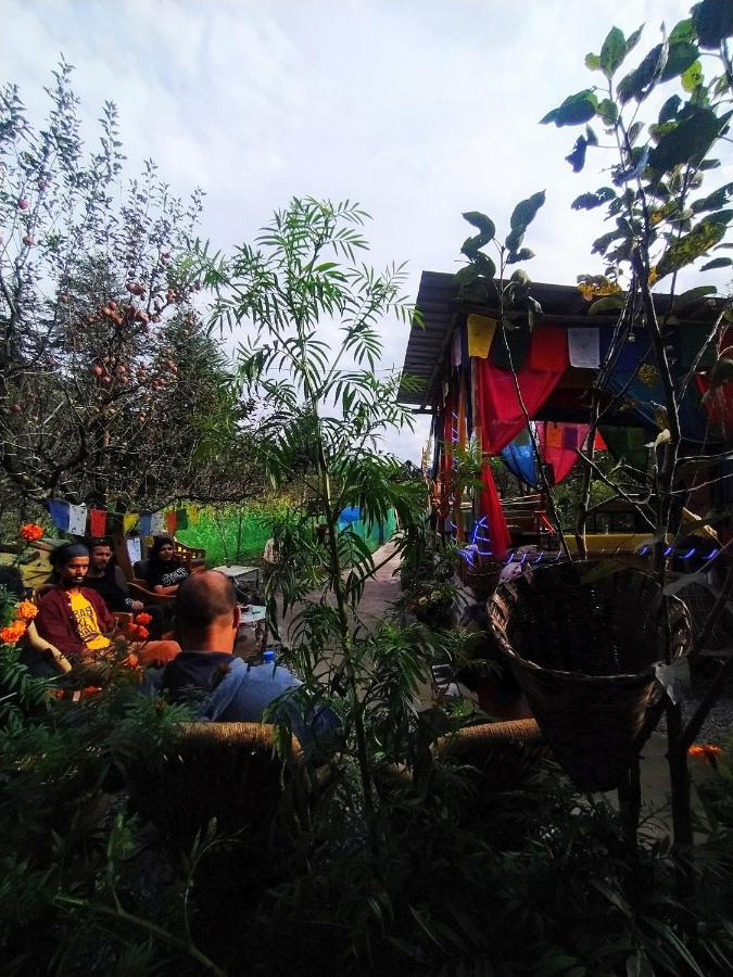 Hostel Farm And Camps *