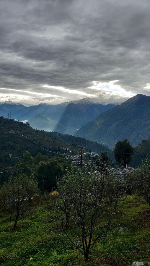 Time Trael Lodge Manali (Himachal Pradesh)