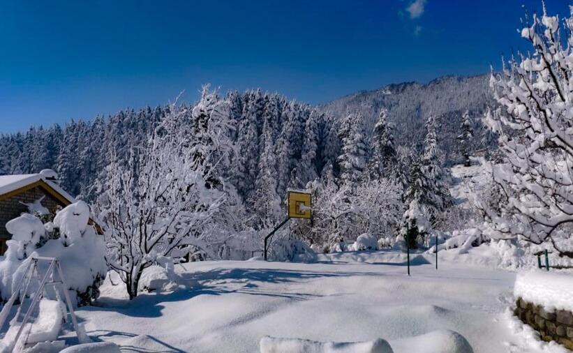 Villa Leela Huts Manali (Himachal Pradesh)