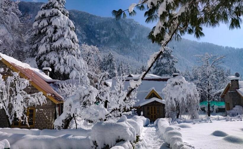 Villa Leela Huts Manali (Himachal Pradesh)