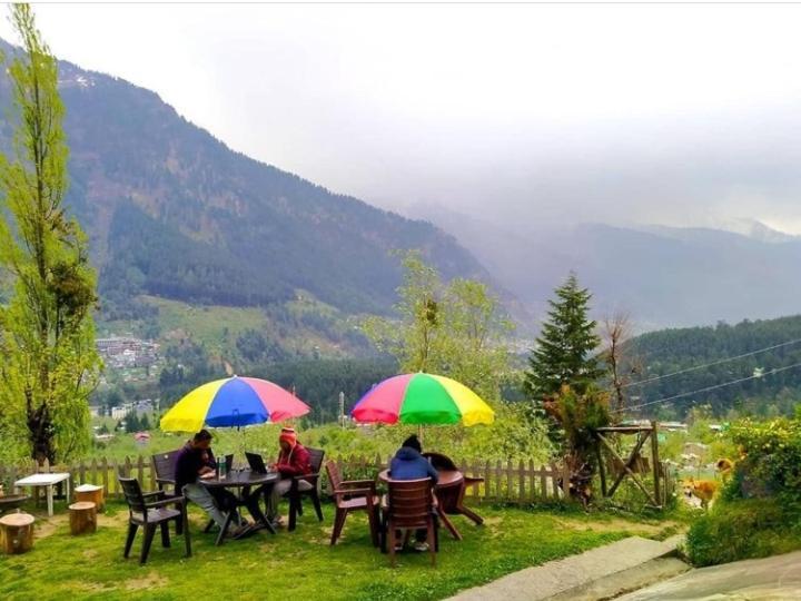 Stayers And Cafe Hostel Manali (Himachal Pradesh)