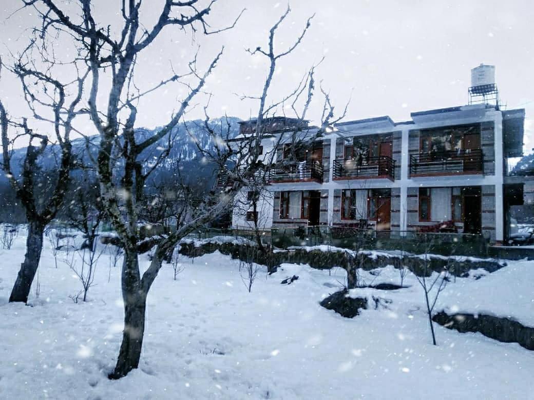 Farm And Camps Hostel Manali (Himachal Pradesh)