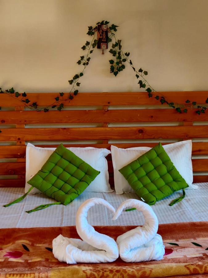 Akasa Boutique Homestay Manali (Himachal Pradesh)