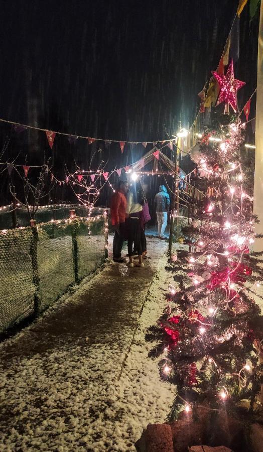 Hostel Farm And Camps *