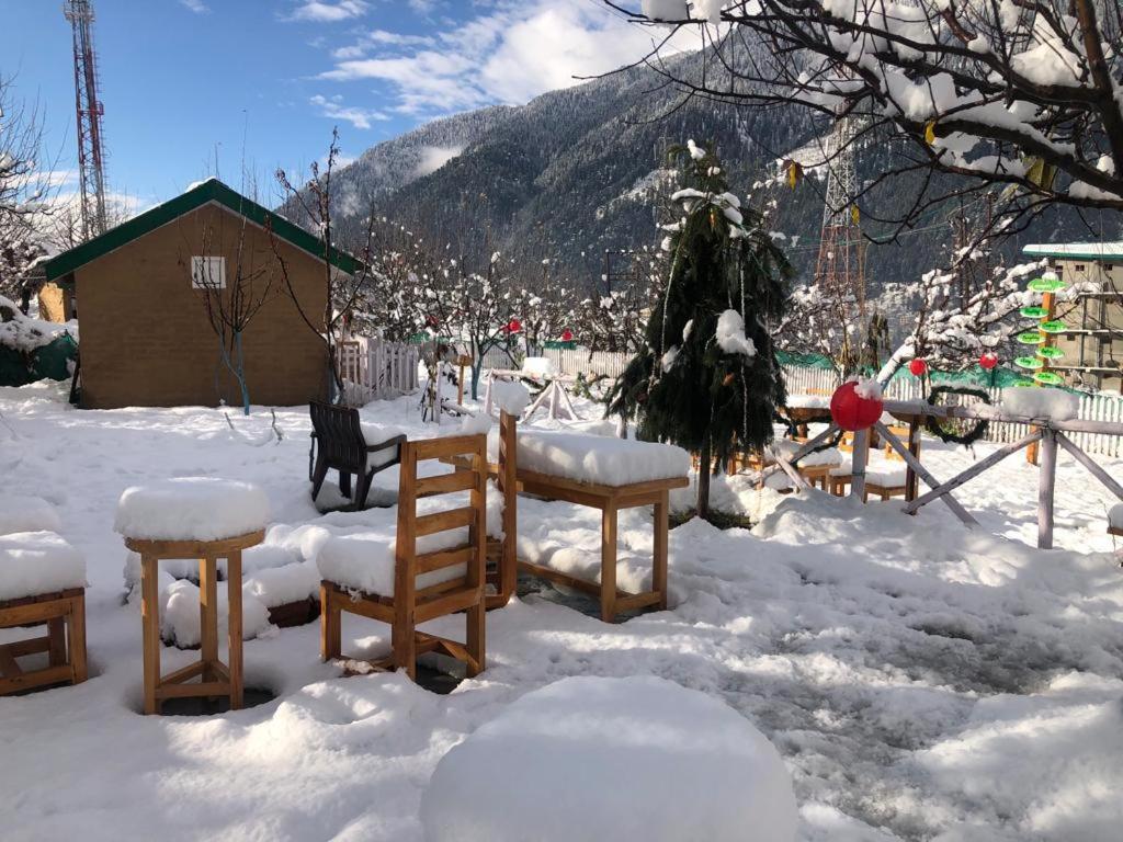 Enthralling Escapes Nature And Trek