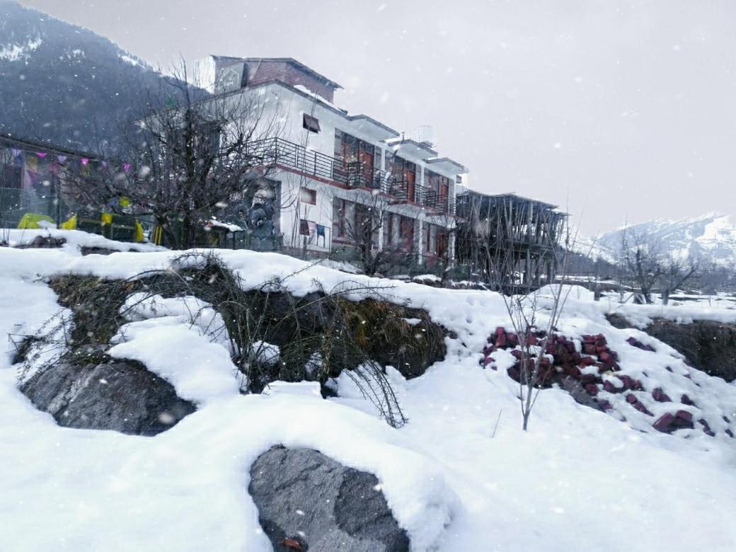 Hostel Farm And Camps