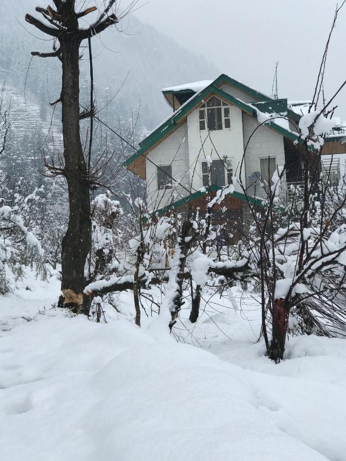 Bed & Breakfast Apple View *