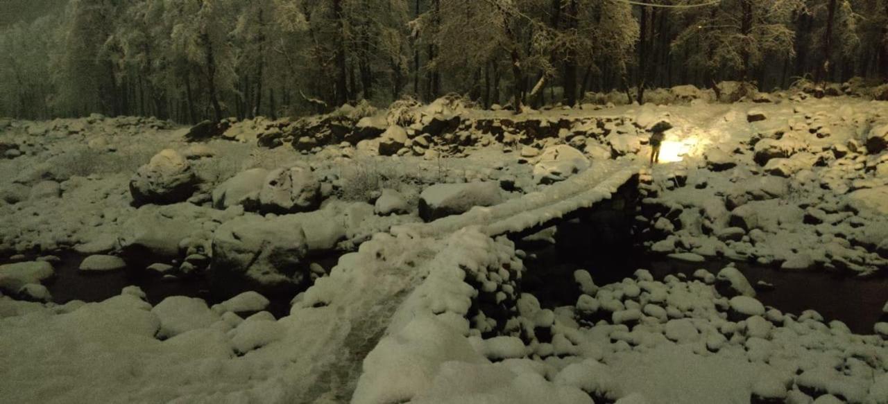 Bed & Breakfast Apple View Manali (Himachal Pradesh)