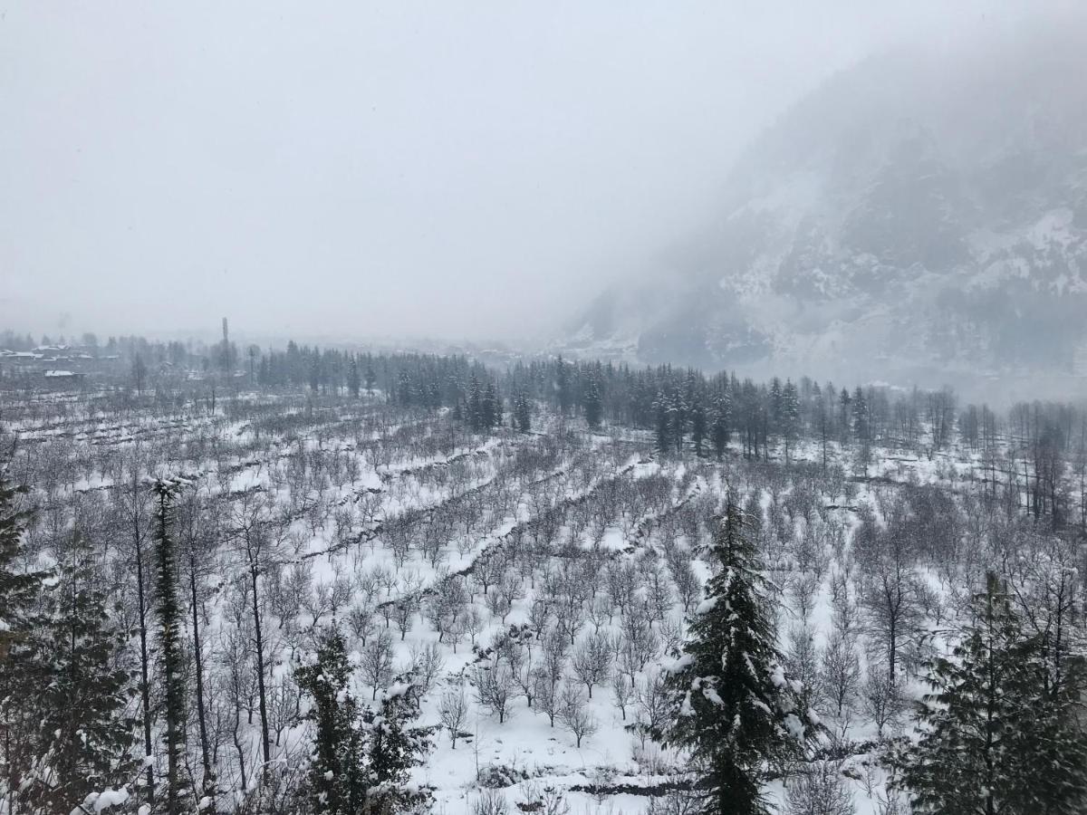 Bed & Breakfast Apple View Manali (Himachal Pradesh)